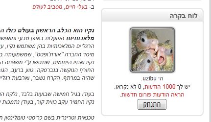 תמונה