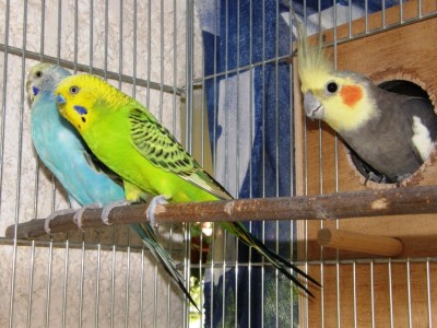 אבא ברוך דואג ושומר (: