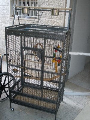 הכלוב החדש