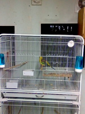 _____0191.jpg