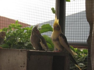 IMG_4342.jpg