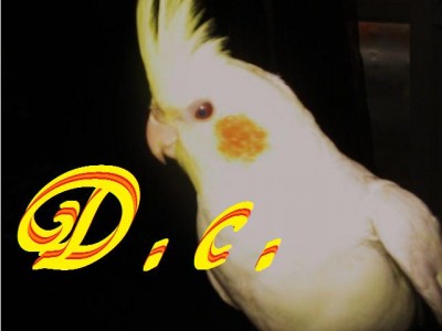 Untitled.jpg
