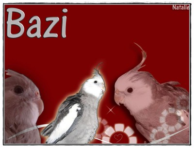 background-clip-art-red.jpg