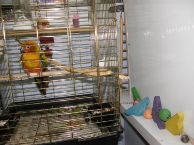 שלב 1 - קשר עין