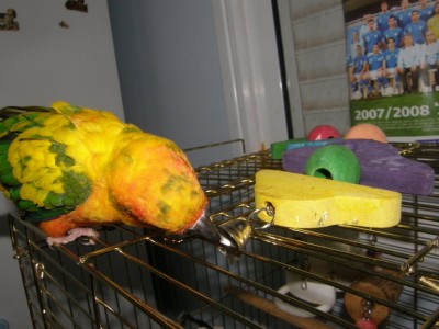 הממ.. מה יש פה בפנים?!