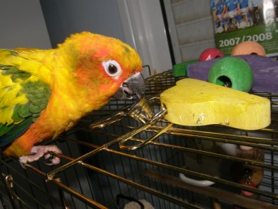 לא רע בכלל דווקא