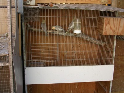 DSCN2288.JPG