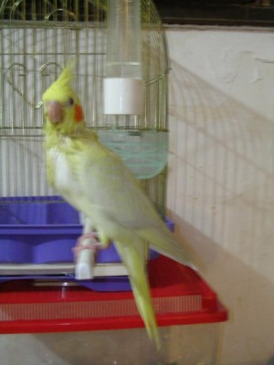 DSCN2278.JPG
