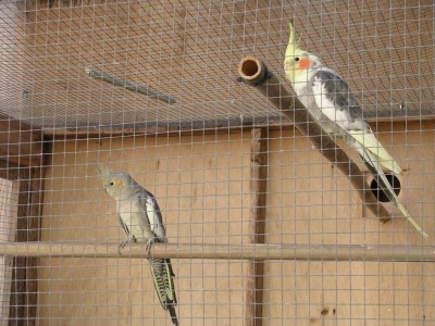 DSCN2292.JPG