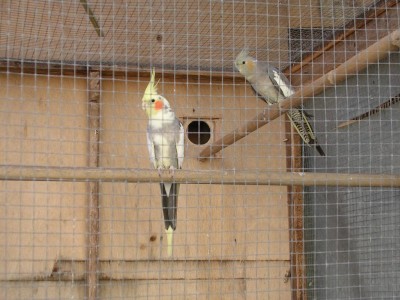 DSCN2289.JPG