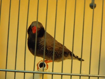 DSCF0320.JPG