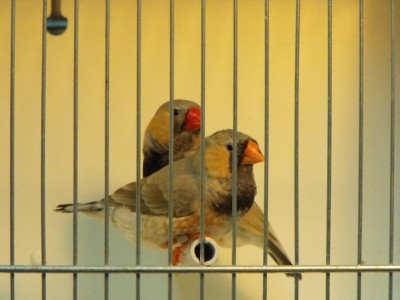 DSCF0315.JPG