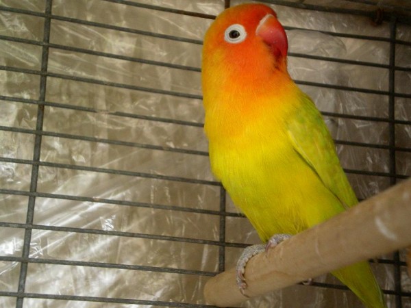 SANY0370.JPG