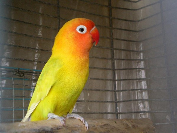 SANY0373.JPG