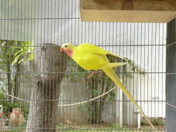 060506_224557-1840_P1010584 (Medium).JPG