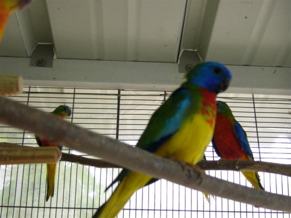 060506_224816-1851_P1010593 (Medium).JPG