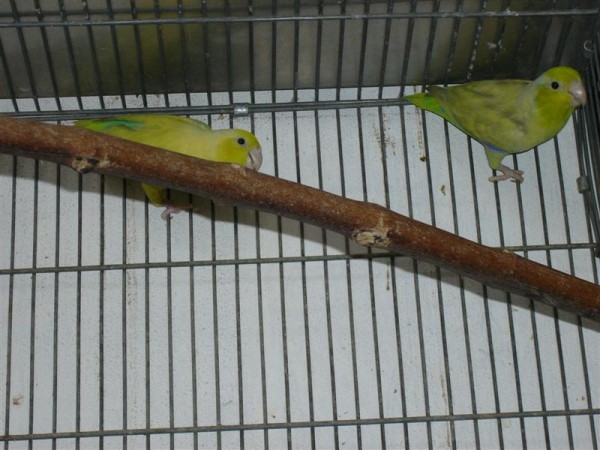 060506_225014-1857_P1010596 (Medium).JPG