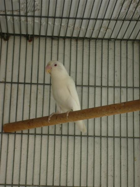 060506_225148-1865_P1010600 (Medium).JPG