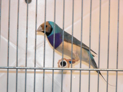 DSCF0383.JPG