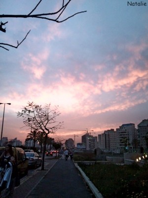DSC00129.JPG
