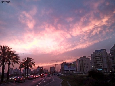 DSC00131.JPG