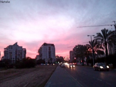 DSC00135.JPG