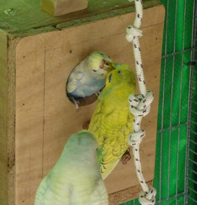 ggP1060979.JPG