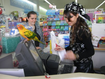 כך זה נראה מהצד..