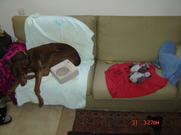 Picture 583.jpg