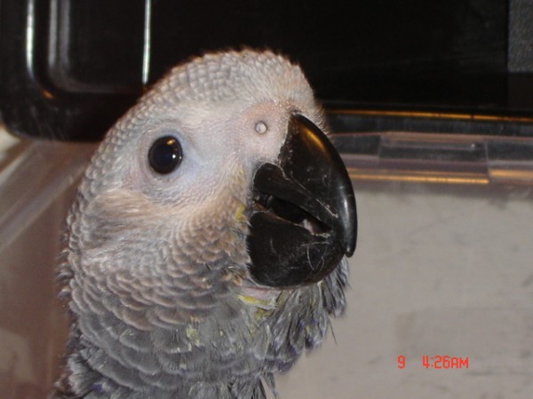 Picture 636.jpg