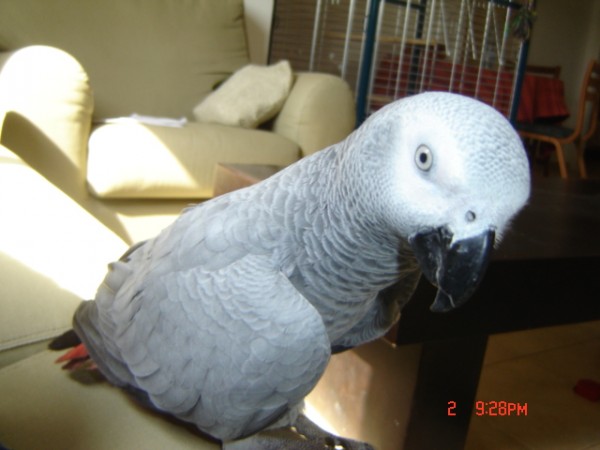 Picture 605.jpg