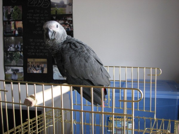 IMG_0173.JPG