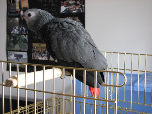 IMG_0176.JPG