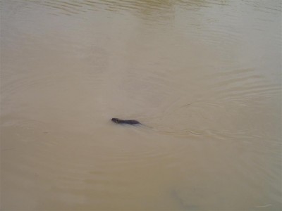 טיול שנתי 2009 005 (Large).jpg