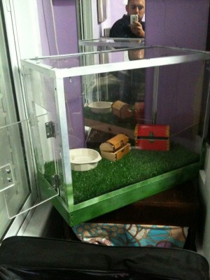 וזה הטרריום שבניתי..