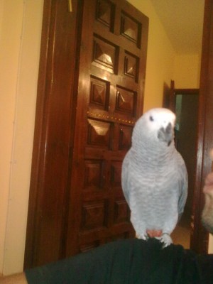 זה בנצ'י הוא בן 7 חודש