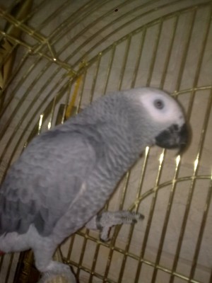 עוד תמונה של בנצ'