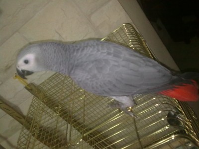 זה מומו הוא בן 4 חודשש