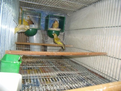 2803984137_1.jpg