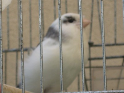 Image00001.jpg