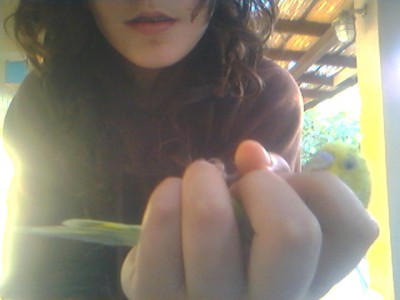 תמונה 3 דמתי.jpg