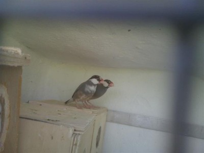 DSC00209 (Small).JPG