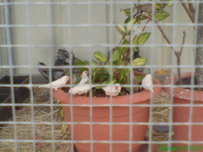 DSC00815.JPG