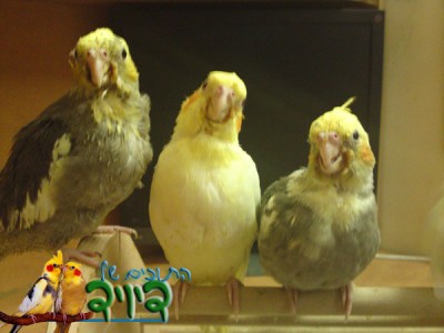 29052010321.jpg