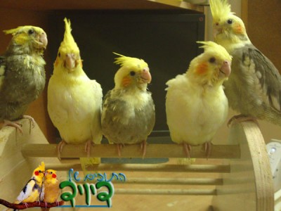 29052010325.jpg