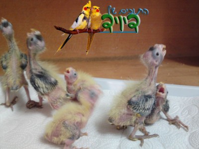 0506201037.jpg