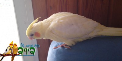 05062010352.JPG