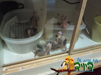 08062010386.JPG