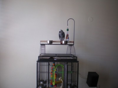 P6140373 [640x480].JPG