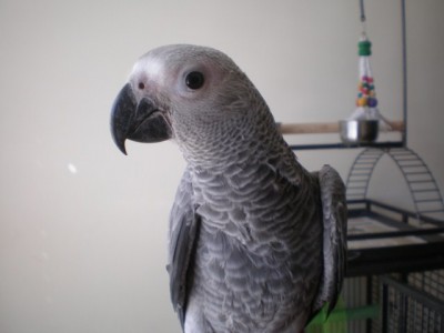 P6140383 [640x480].JPG